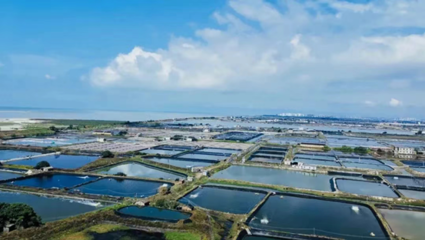 中國農(nóng)業(yè)大學教授張正河:&ldquo;鍋圈模式&rdquo;有力推進農(nóng)村&ldquo;三產(chǎn)融合&rdquo;