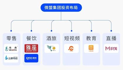 6億美元融資就位 看微盟如何&ldquo;深挖坑、廣積糧、高筑墻&rdquo;