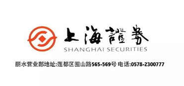 上海證券麗水營業部開業盛典，投資控股引領財富未來