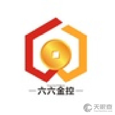 深圳市六六金投資控股 洞見資本力量，賦能產(chǎn)業(yè)未來